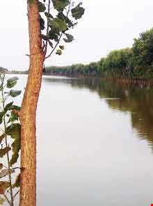 Sarandoon and Balandoon Wetland Complex