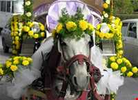 باورها واعتقادات مردم بوشهر