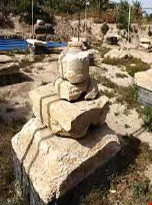 کاخ بردک سیاه ( شهر هخامنشی تموکن )