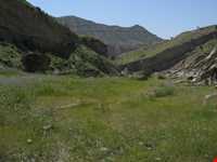 رودخانه دالکی