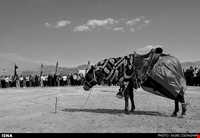 Elam mourning rituals