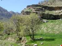 تنگه رازیانه