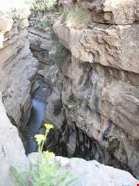 تنگه رازیانه