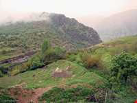 تنگه رازیانه