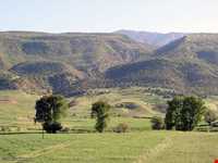 تنگه رازیانه