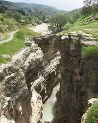 تنگه رازیانه