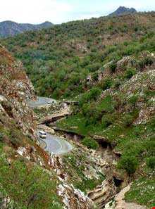 تنگه رازیانه