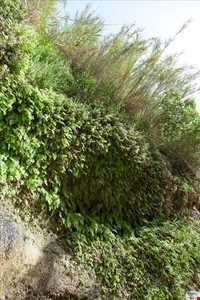 غار زینه گان ( زینگان )