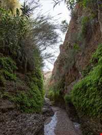 غار زینه گان ( زینگان )