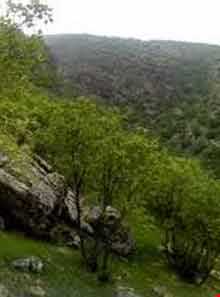 پارک جنگلی چغاسبز