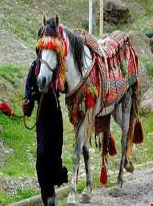 باورهای مردم ایلام