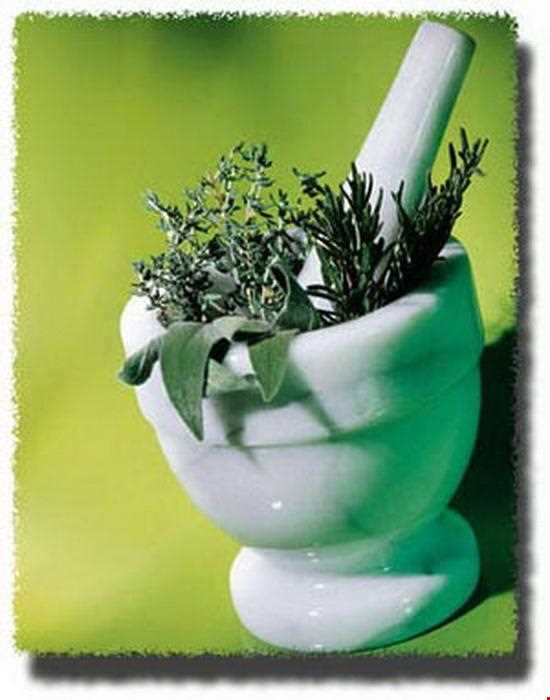 طب سنتی در ایلام