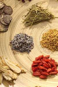 طب سنتی در ایلام