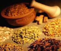 طب سنتی در ایلام