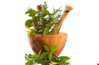 طب سنتی در ایلام