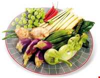 طب سنتی در ایلام