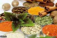 طب سنتی در ایلام