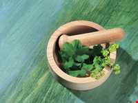 طب سنتی در ایلام