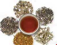 طب سنتی در ایلام