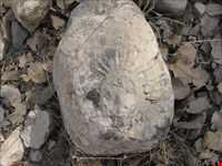 Tang-e Sulak ( Sulak canyon )