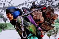 باورهای مردم کهکیلویه و بویراحمد