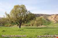 روستای گزدون