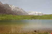 دریاچه کوه گل