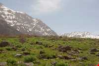 دریاچه کوه گل