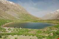 دریاچه کوه گل
