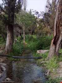 باغ چشمه بلقیس