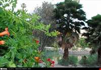 باغ چشمه بلقیس