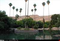 باغ چشمه بلقیس