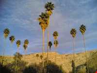 باغ چشمه بلقیس