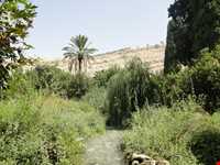 باغ چشمه بلقیس