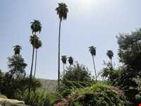 باغ چشمه بلقیس