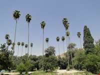 باغ چشمه بلقیس