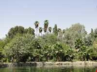 باغ چشمه بلقیس