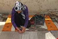 گبه کهگیلویه و بویراحمد