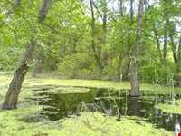 تالاب لپو و زاغمرز