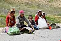 Proverbs ethnic literature asserting Kohgiluyeh and Boyer-Ahmad