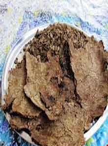 نان بلیط یا بلوط