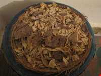 نان بلیط یا بلوط