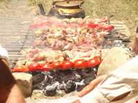 Kebab bakhtiari
