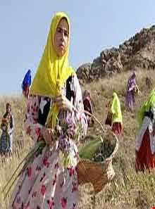 باورهای مردم بختیاری به آب