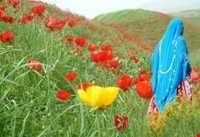 Journey of Bakhtiary