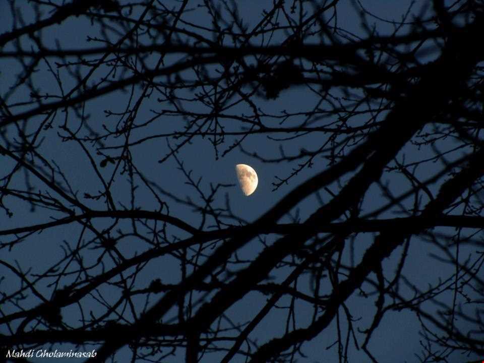 پناه گاه حیات وحش میانکاله