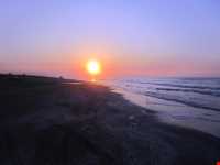 پناه گاه حیات وحش میانکاله