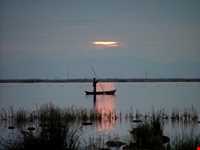 پناه گاه حیات وحش میانکاله