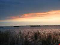 پناه گاه حیات وحش میانکاله