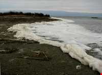 پناه گاه حیات وحش میانکاله